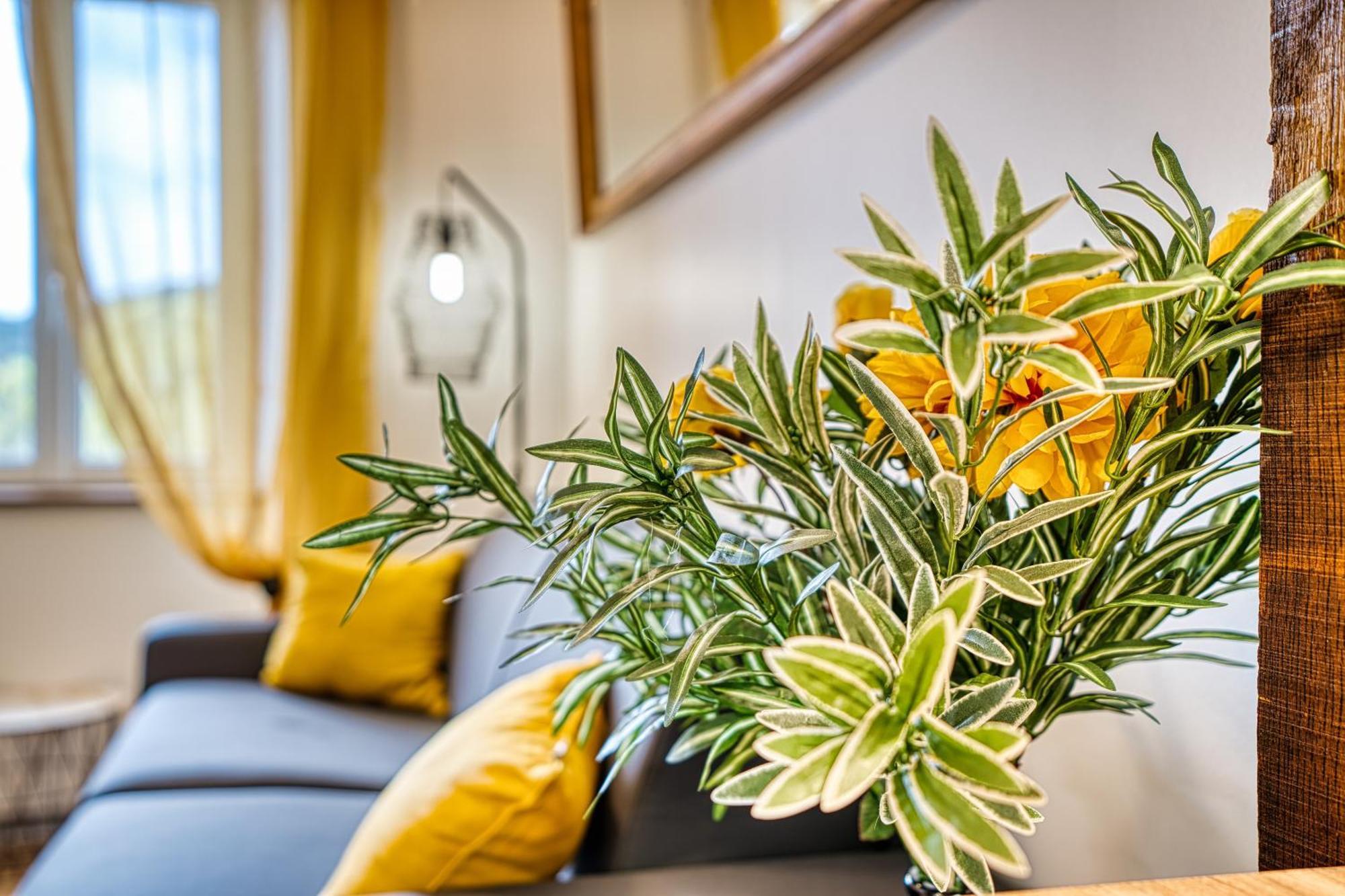 Les Hourtous Netflix Wi-Fi Fibre Terasse 4 Pers Apartment Banassac Exterior foto